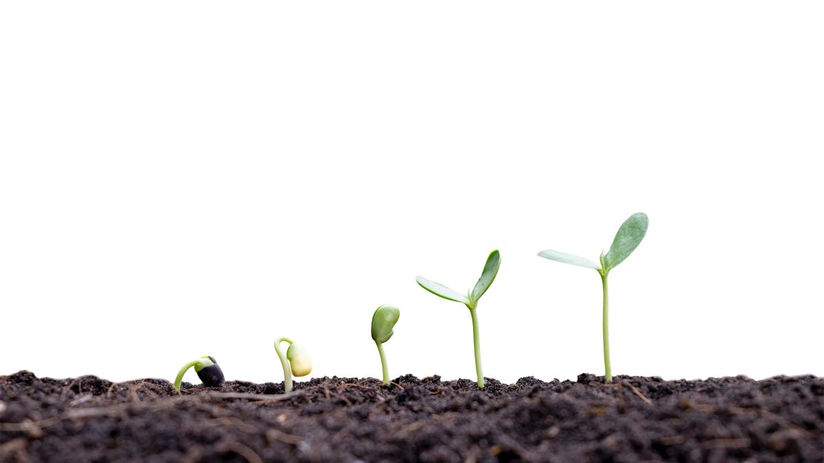 5 Things to Enable Your Digital Business to Thrive in 2024